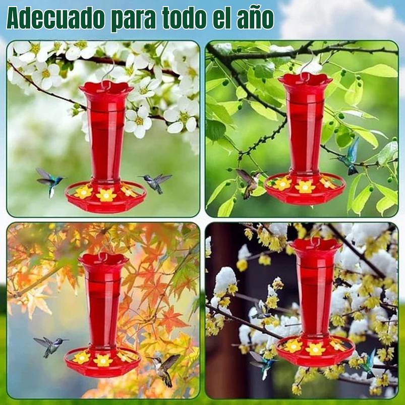 Bebedero Colibríes Aves Jardín Botella en Vidrio 10oz 11