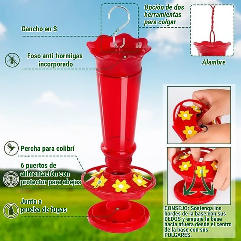 Bebedero Colibríes Aves Jardín Botella en Vidrio 10oz 12