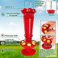 Bebedero Colibríes Aves Jardín Botella en Vidrio 10oz - Miniatura 12