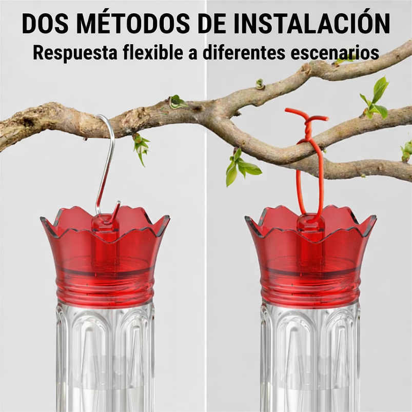 Bebedero Aves Colibríes Plástico De Jardín Colgante x600ml 10