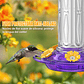 Bebedero Aves Colibríes Plástico De Jardín Colgante x600ml - Miniatura 21