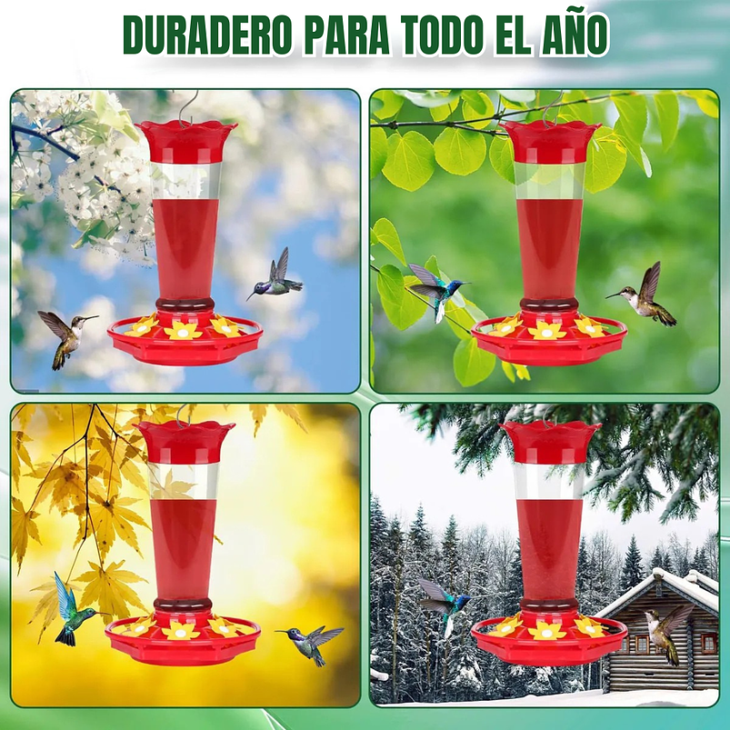 Bebedero Colibríes Aves Jardín Botella en Vidrio 10oz 5