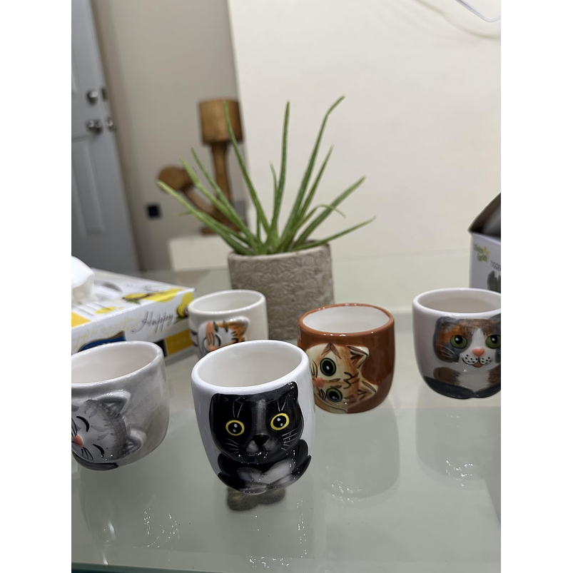 Macetas Ceramica Diseño Gatos Ideal Para Suculentas y Cactus x 6 Unidades 8