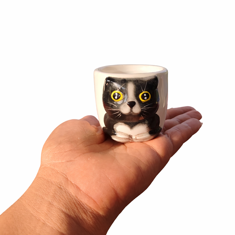 Macetas Ceramica Diseño Gatos Ideal Para Suculentas y Cactus x 6 Unidades 4