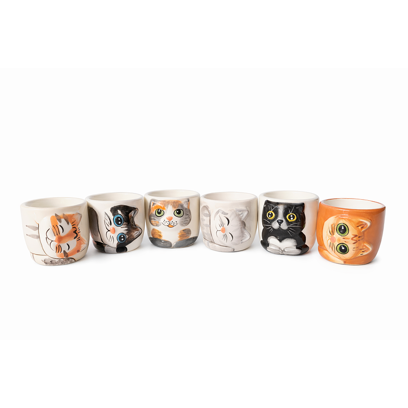Macetas Ceramica Diseño Gatos Ideal Para Suculentas y Cactus x 6 Unidades 6