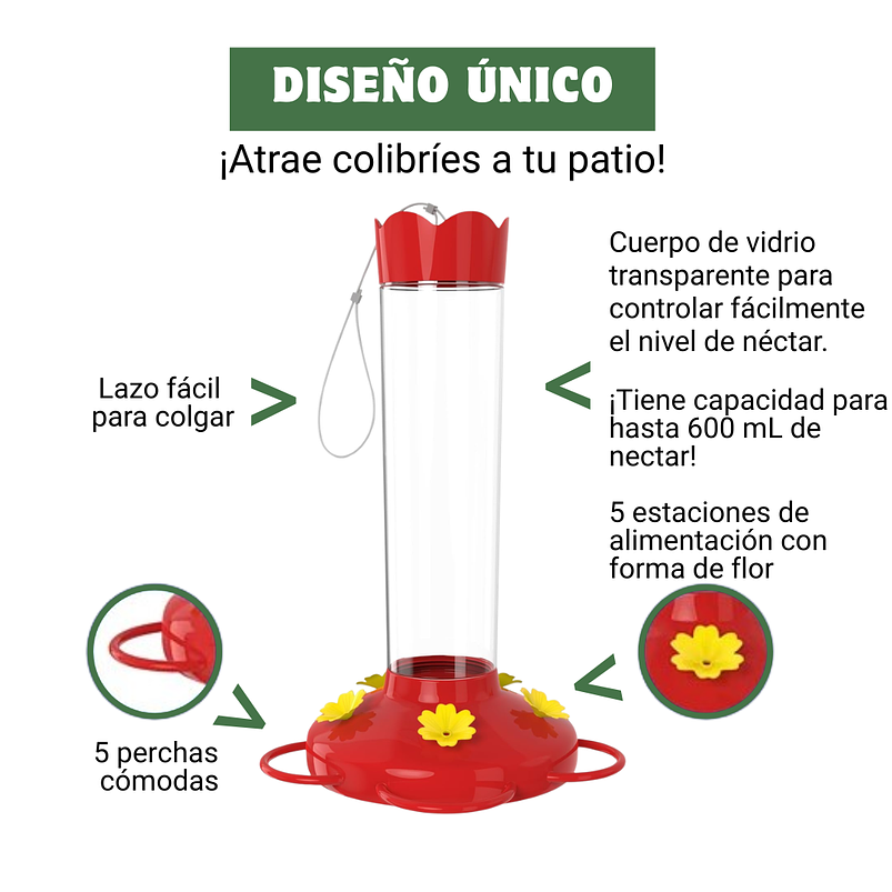 Bebedero Colibries Aves en Vidrio Colgante  x20oz Gran Capacidad 5