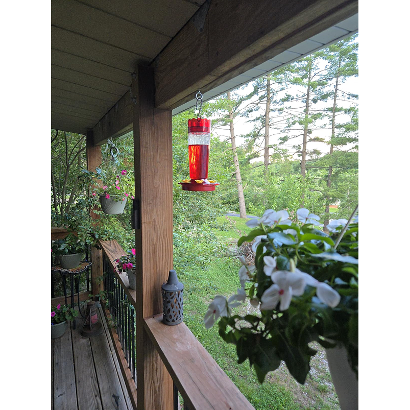 Bebederos Para Colibries Plasticos de Jardin X2 Unidades  4