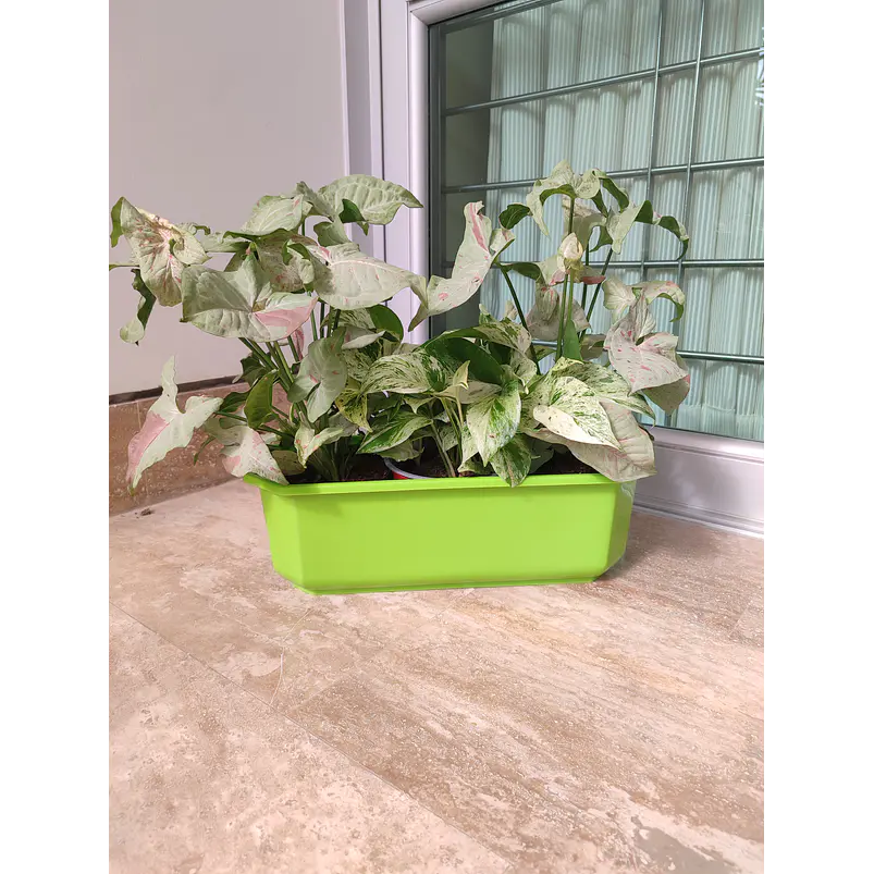 Maceta Plástica Rectangular x2 Unidades Jardinera x40cm De Largo 16