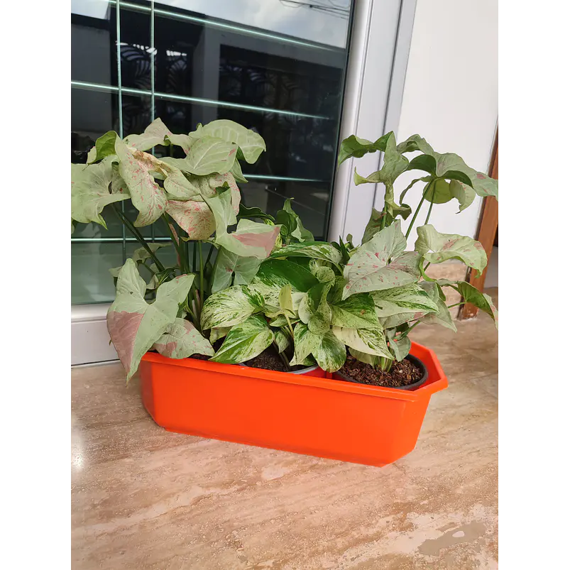 Maceta Plástica Rectangular x2 Unidades Jardinera x40cm De Largo 13