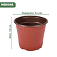 Macetas Plásticas Siembra x50 Unid 14cm Diámetro x12cm Alto - Miniatura 3