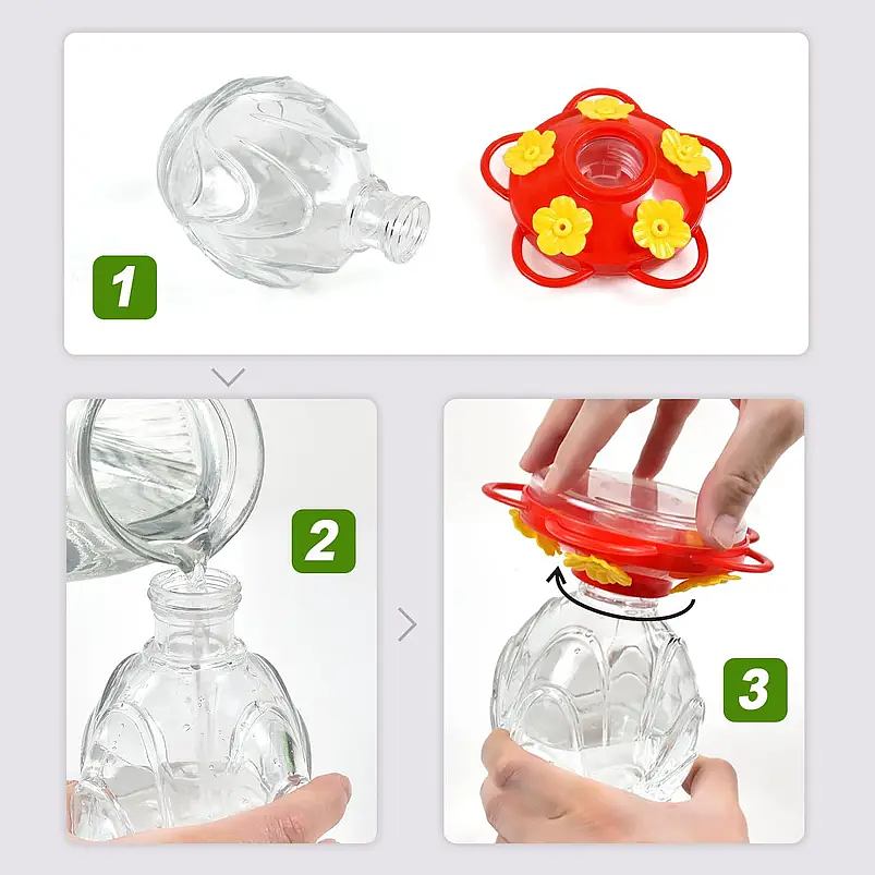 Bebedero Colibríes Aves Colgante Botella en Vidrio 5