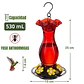 Bebedero De Colibríes Plástico 18 Onzas Con 6 Puertos De Alimentación - Miniatura 3