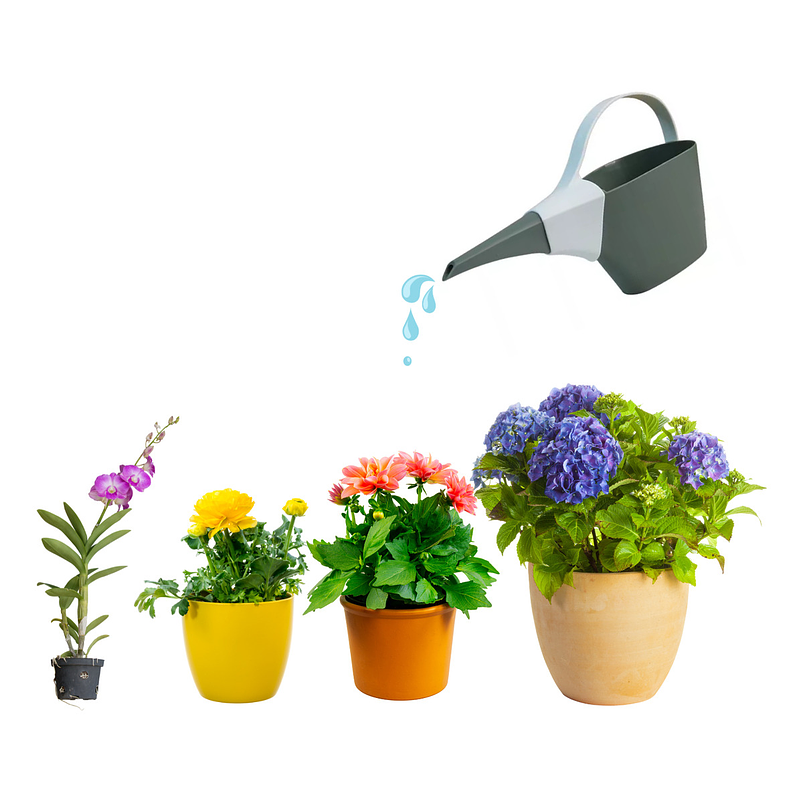 Regadera Plastica x1.2 Litro Ideal en macetas Pequeña Verde 6