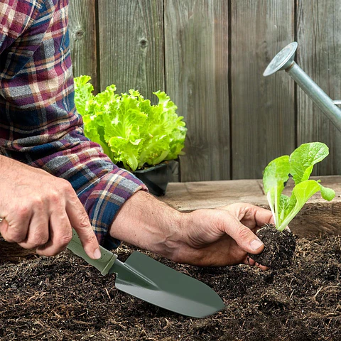 Pala De Mano Herramienta De Jardinería Metalica Con Mango De Plástico x Unidad