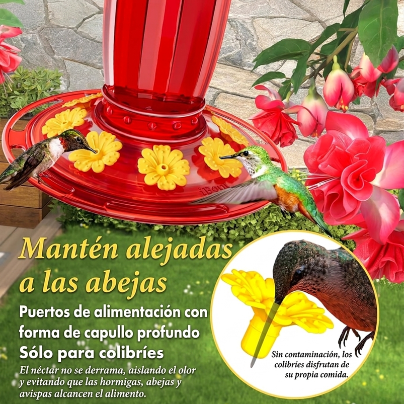 Bebedero De Colibries Vidrio Para Colgar De 8 Puertos 3