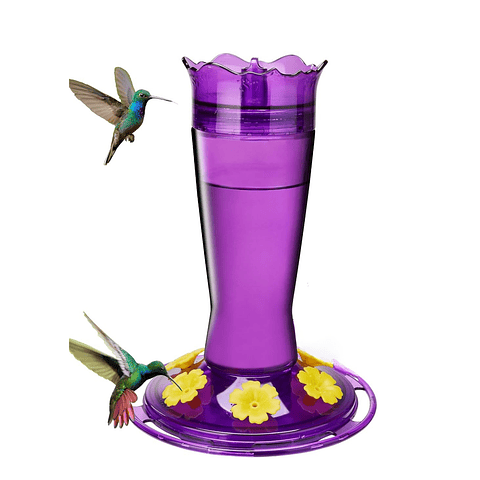 Bebedero Premiun de Colibries Aves Colgante Botella en Vidrio 