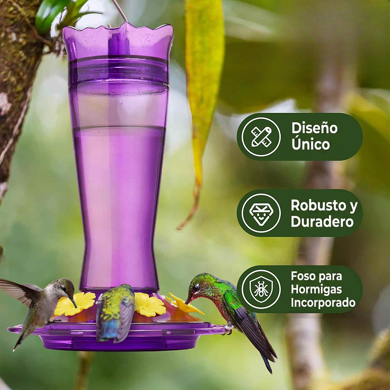 Bebedero Colibríes Aves En Vidrio De Colgar 400ml  9