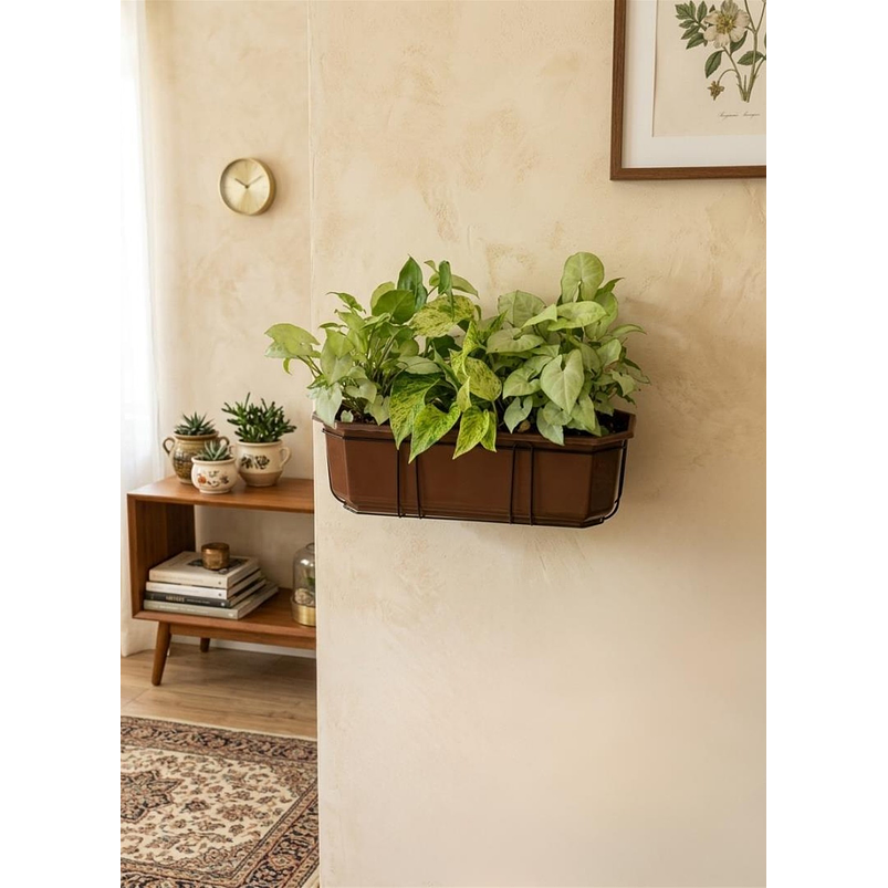 Maceta Jardinera Rectangular Roma Más Soporte Metálico Pared 6