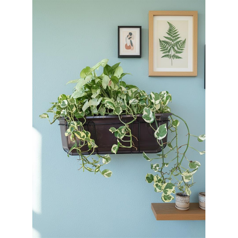 Maceta Jardinera Rectangular Roma Más Soporte Metálico Pared 8