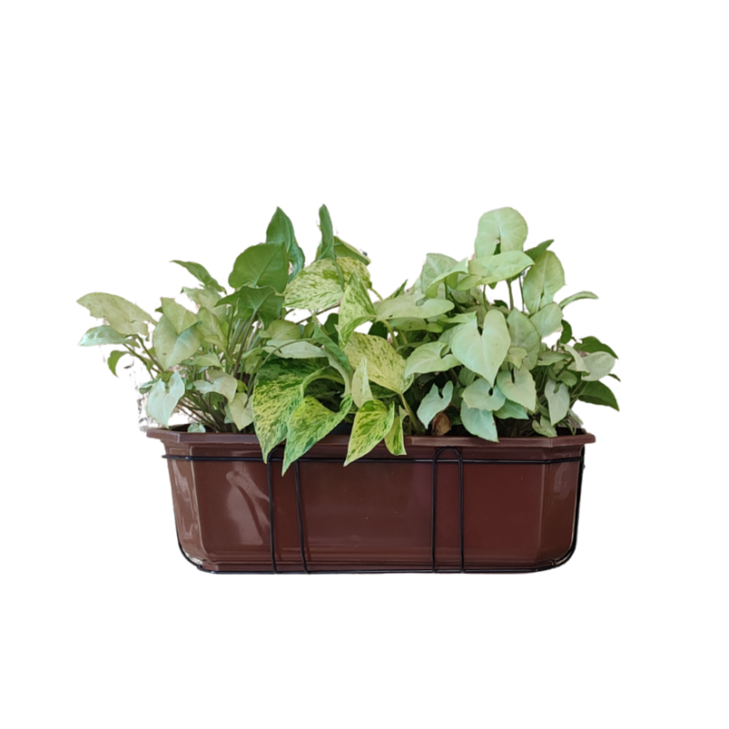 Maceta Jardinera Rectangular Roma Más Soporte Metálico Pared 2