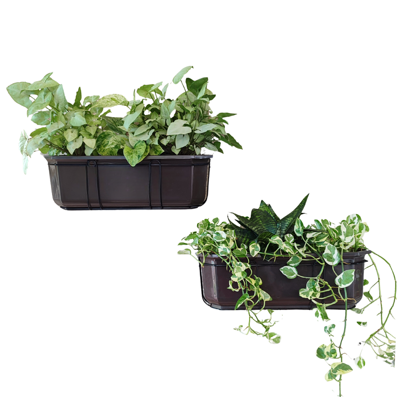 Maceta Jardinera Rectangular Roma Más Soporte Metálico Pared 3