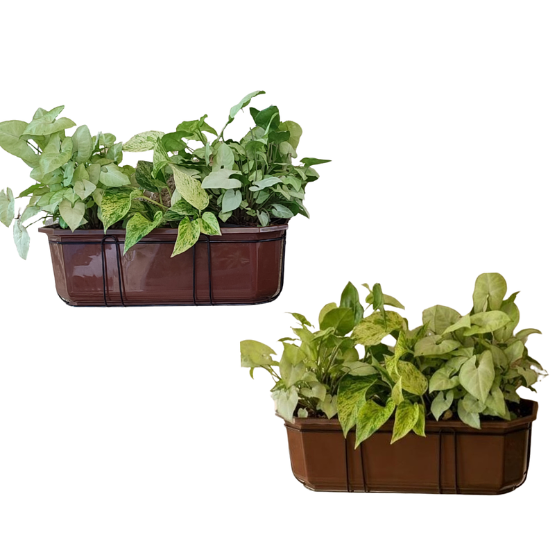 Maceta Jardinera Rectangular Roma Más Soporte Metálico Pared 4