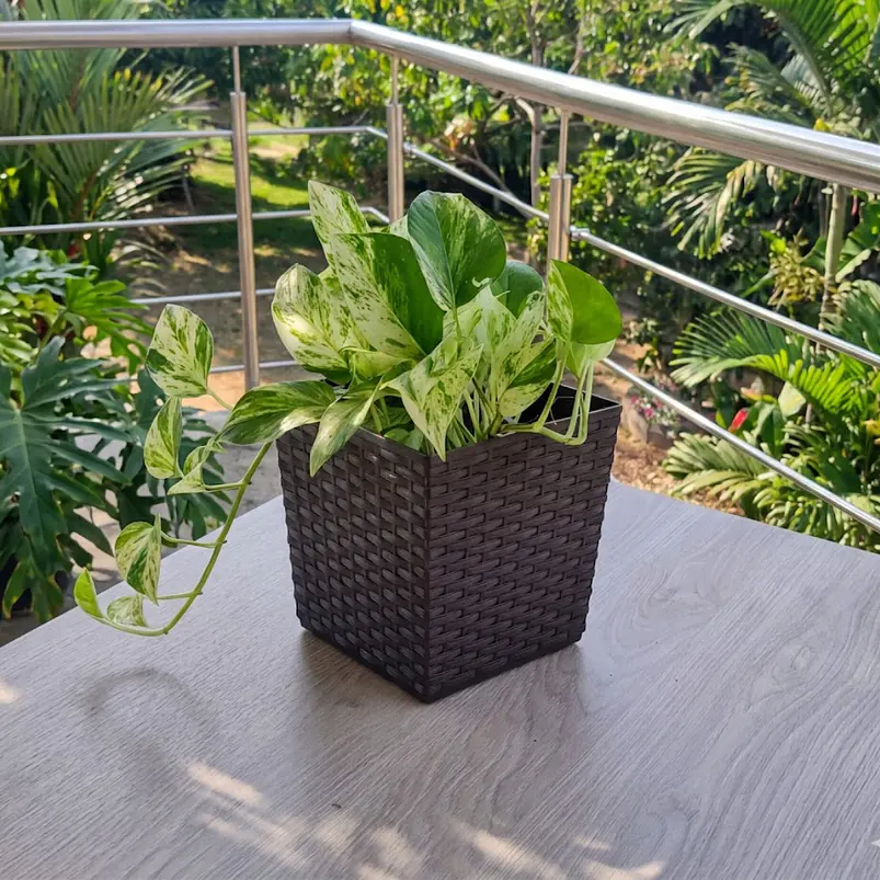 Matera - Maceta Rattan Cuadrada Para Plantas 7