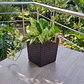 Matera - Maceta Rattan Cuadrada Para Plantas - Miniatura 7