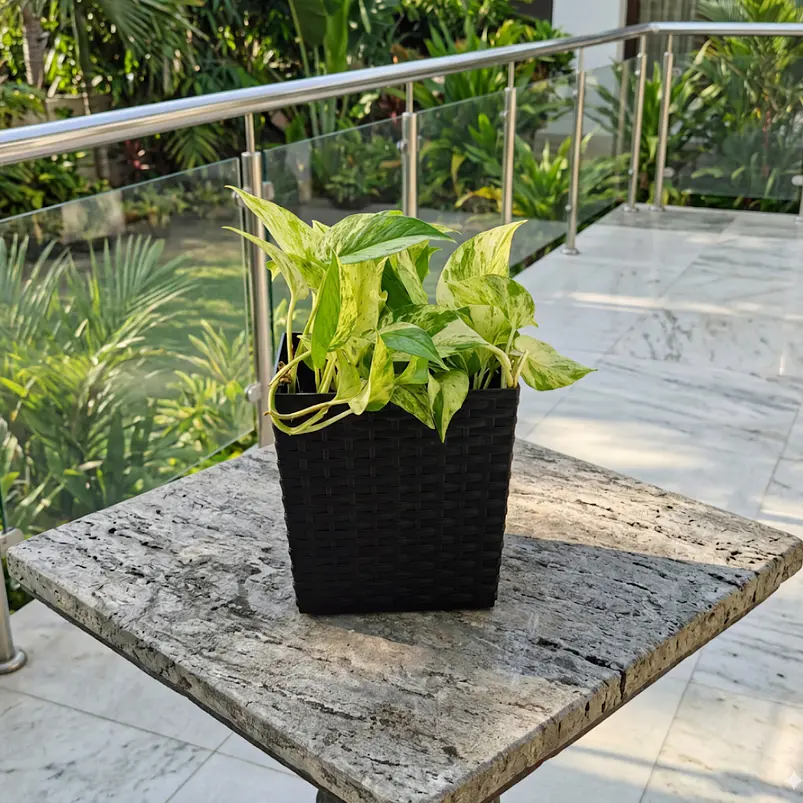 Matera - Maceta Rattan Cuadrada Para Plantas 9