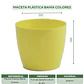 Maceta Plástica Bahía Colores 9cm Diámetro x8cm Alto Fina - Miniatura 23