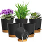 Macetas Autoriego 10cm Con Drenaje y Plato Extraíble x6 Unidades - Miniatura 4