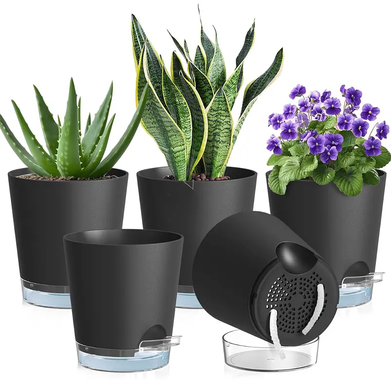 Macetas Autoriego 10cm Con Nivel De Agua Visible x5 Unidades 2