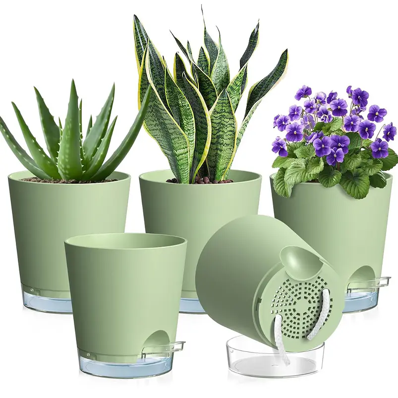 Macetas Autoriego 10cm Con Nivel De Agua Visible x5 Unidades 3