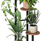 Estante Esquinero De Madera Para 5 Plantas Soporte Interior - Miniatura 1