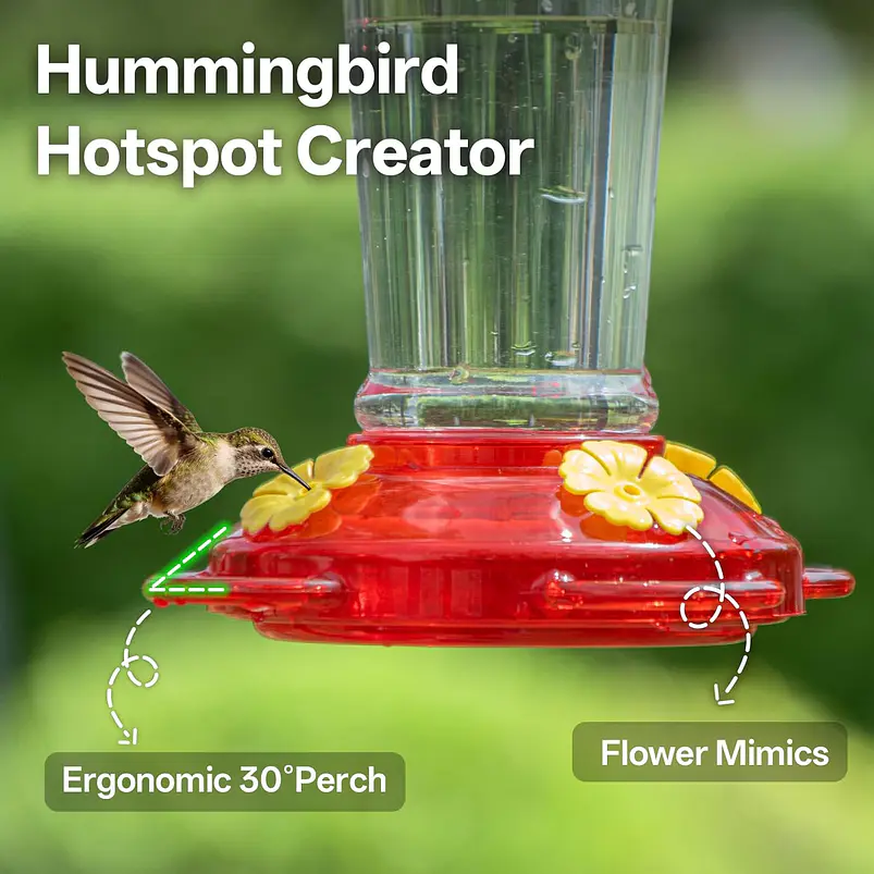 Bebedero Colibríes Plástico 415ml Antifugas x2 Unidades 5