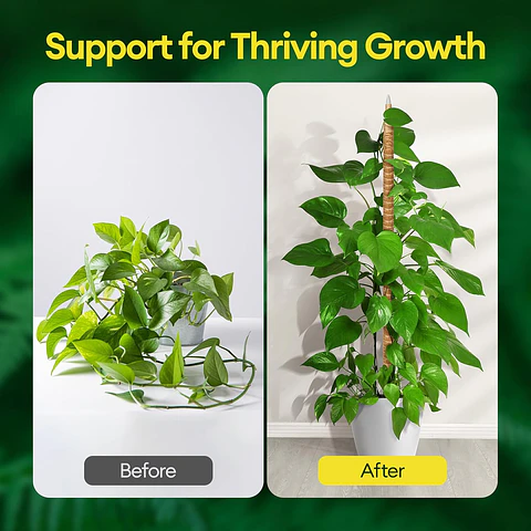 Soporte Tutor En Fibra de Coco Para Plantas Trepadoras X3 Unidades Flexibles 