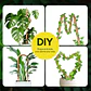 Tutores De Coco X3 Flexibles 71cm Para Plantas Trepadoras - Miniatura 5
