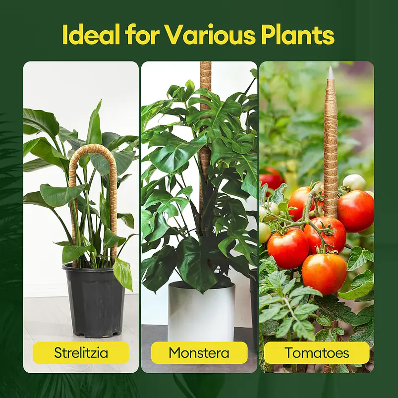 Tutores De Coco X3 Flexibles 71cm Para Plantas Trepadoras 6