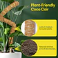 Tutores De Coco X3 Flexibles 71cm Para Plantas Trepadoras - Miniatura 7