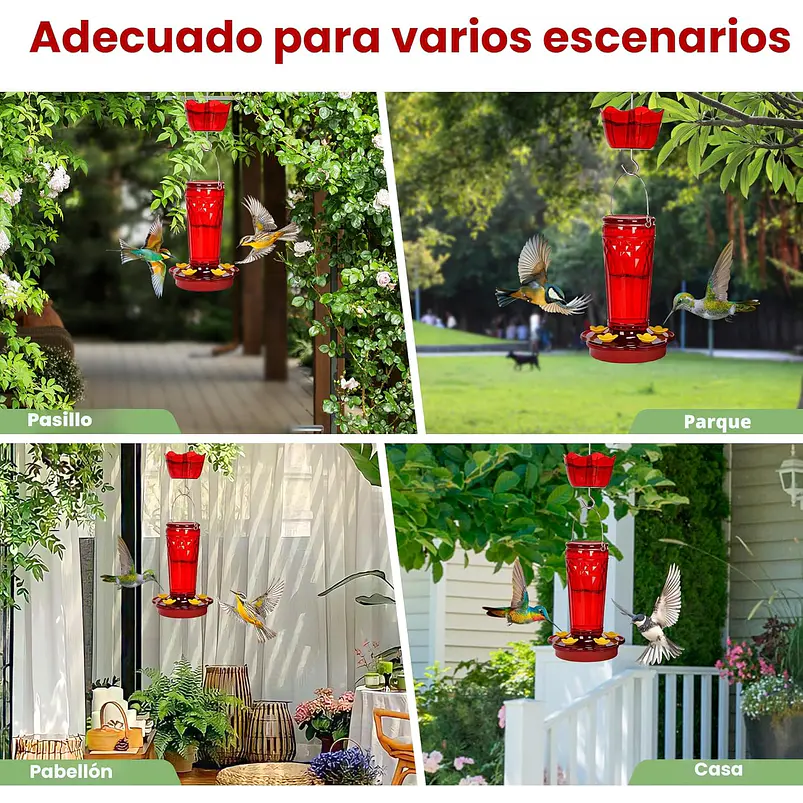 Bebederos Colibrí Vidrio 415ml 5 Puertos Boca Ancha x2 unidades 5