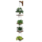 Soporte Macetas Pared x4 Puestos en Teca más Macetas Plásticas - Miniatura 3
