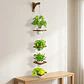 Soporte Macetas Pared x4 Puestos en Teca más Macetas Plásticas - Miniatura 11