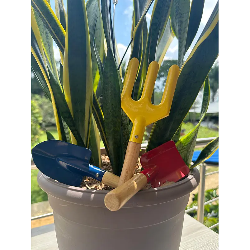 Set Esencial de Herramientas Jardinería Para Niños Metálicos x3 piezas 9