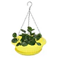 Maceta de Plantas Plástica Colgante con Plato de Drenaje - Miniatura 2