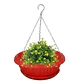 Maceta de Plantas Plástica Colgante con Plato de Drenaje - Miniatura 3