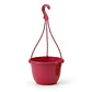 Maceta plástica de colgar para plantas de 20cm diámetro - Miniatura 9
