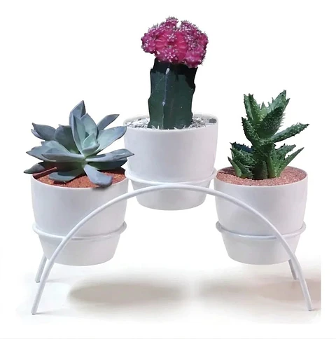 Soporte Matera Decorativo x3 Puestos Mesa 9cm Diámetro