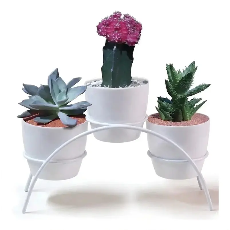 Soporte Matera Decorativo x3 Puestos Mesa 9cm Diámetro 3