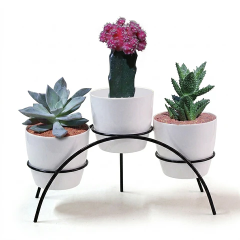 Soporte Matera Decorativo x3 Puestos Mesa 9cm Diámetro
