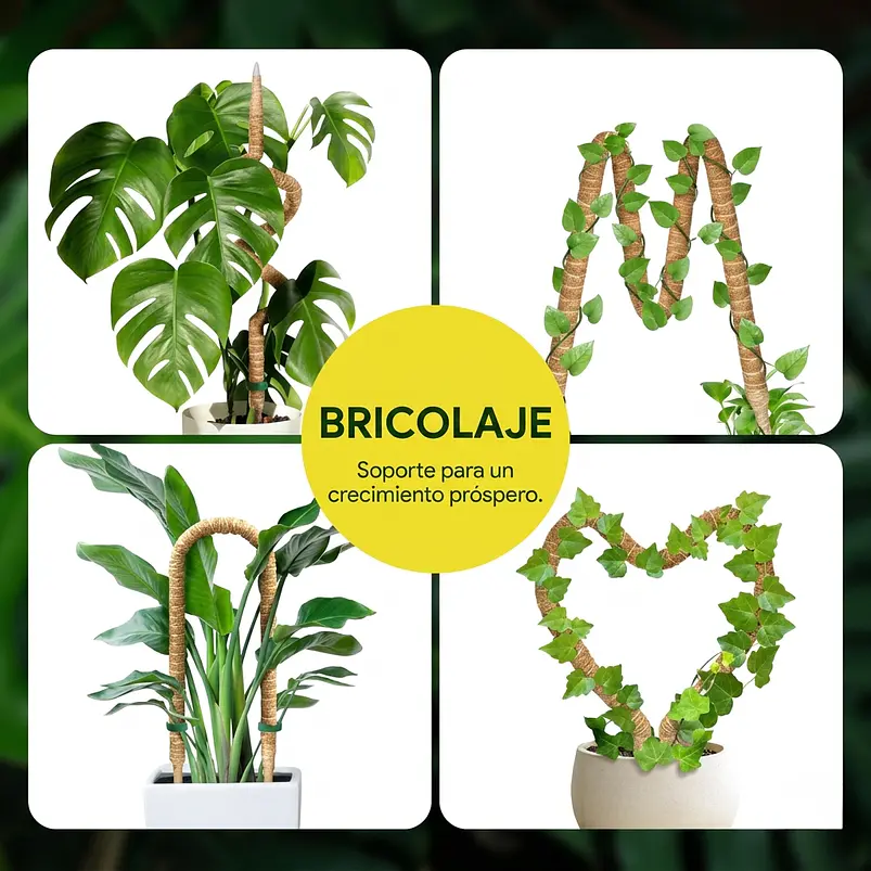 Soporte Tutor En Fibra de Coco Totem Para Plantas Trepadoras X3 Unidades Flexibles  5